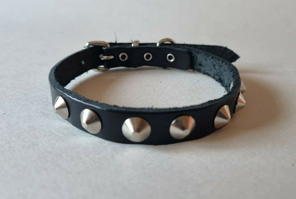 Chihuahua - Black Concial Studded Collar