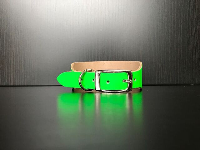 Puppy Collar - Fluorescent Green