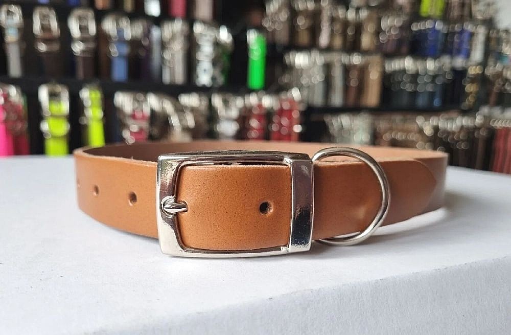 Dog Collar - Bassett (L)- London Tan (1)