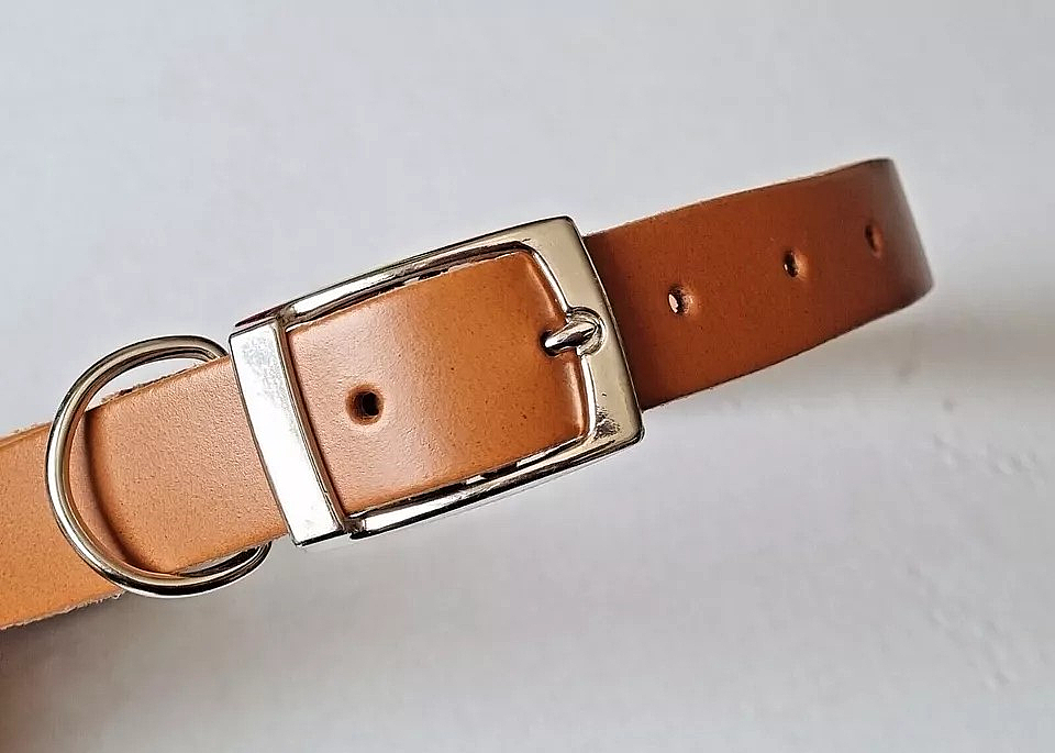 Dog Collar - Bassett (L) London Tan